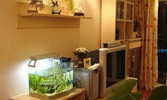 电视柜上鱼缸摆放及金鱼对家居风水的影响