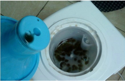 清洗饮水机的方法