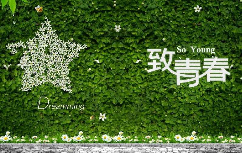 致青春好看吗
