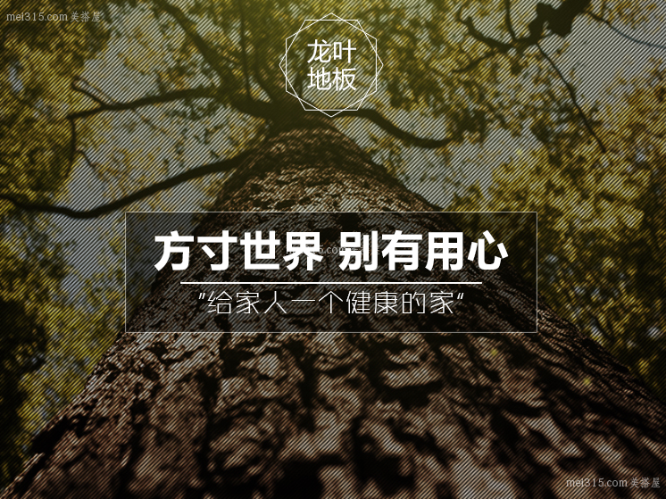 龙叶地板质量怎么样 龙叶地板好吗