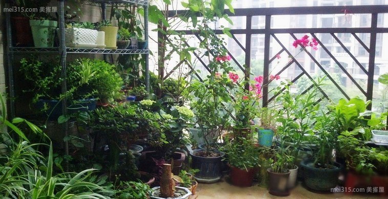 阳台花园防水怎么做